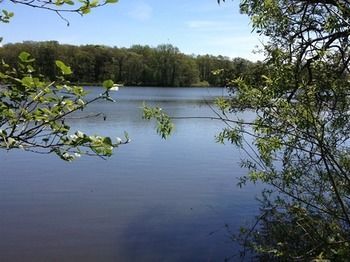 Cleveley Mere Luxury Waterside Lodges Scorton  エクステリア 写真